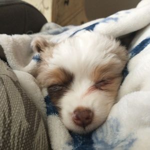 Meet your Posher, Charity